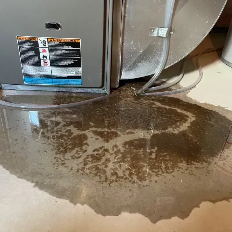 Appliance Leak Cleanup in Brookfield, IL